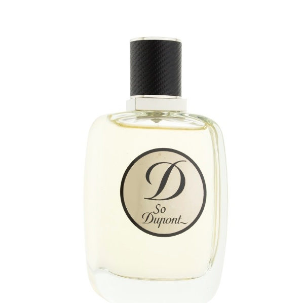 S.T.DOPUNT So Dupont Pour Homme Edt 100ml M