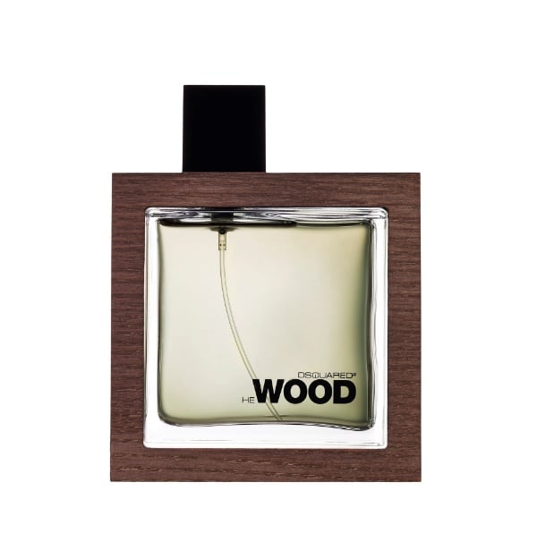 dsquared2 he wood edt 100 ml