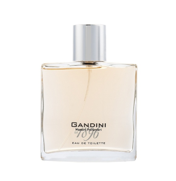 GANDINI Passioni Patchouli Irresistiblle edt 100ml W-M