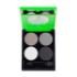CALLISTA Eye Shadow Four Colors E21	
