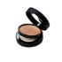 NOTE Luminous Silk Compact Powder 204	