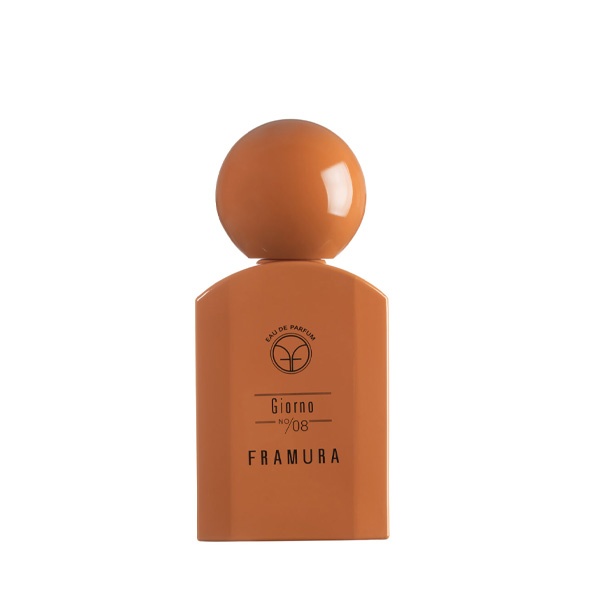 ادو پرفیوم مردانه فرامورا جی یورنو 100 میل