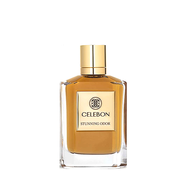 ادوپرفیوم مردانه سلبون استانینگ ادور 100 میل